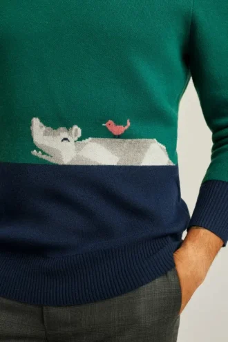 Maglione a girocollo Hippo Ferry