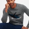 Maglione a girocollo Whale